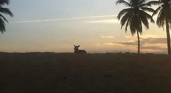 Деревянный коттедж Beach Los Cocos Баваро Доминиканская Республика